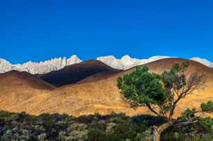 Mt. Whitney and Alabama Hills-3962.jpg Mt. Whitney and Alabama Hills-3962.jpg